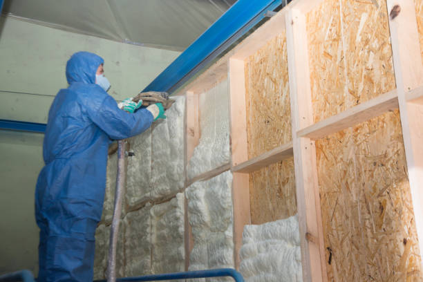 Best Spray Foam Insulation  in Rock Valley, IA